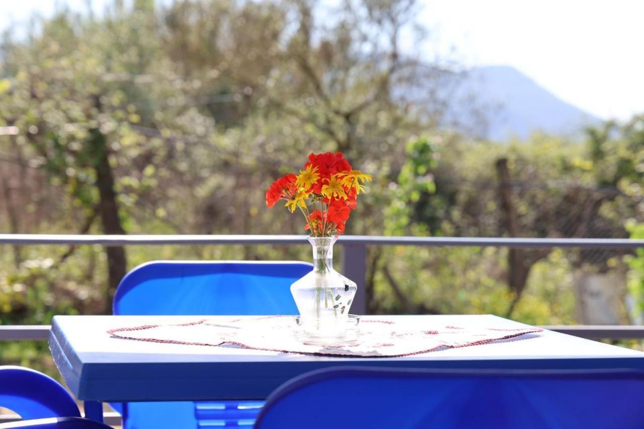 Stjar Apartments Villa Luti מראה חיצוני תמונה