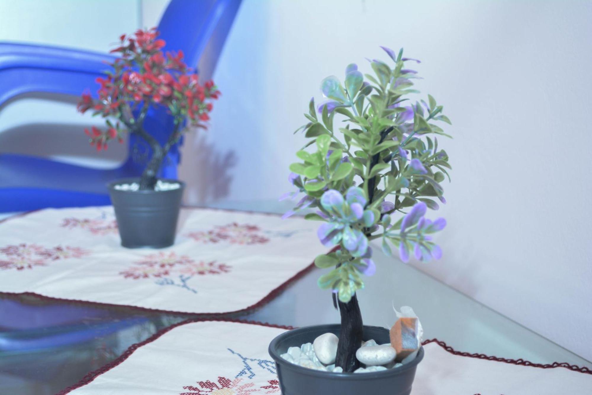 Stjar Apartments Villa Luti מראה חיצוני תמונה